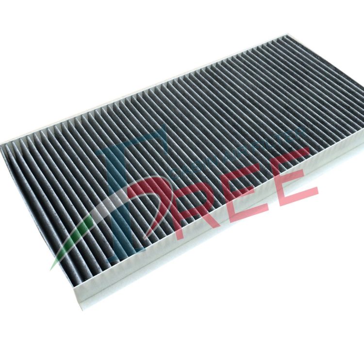 ACK552 FREE Φίλτρο Καμπίνας Άνθρακα FORD/RENAULT TRUCKS