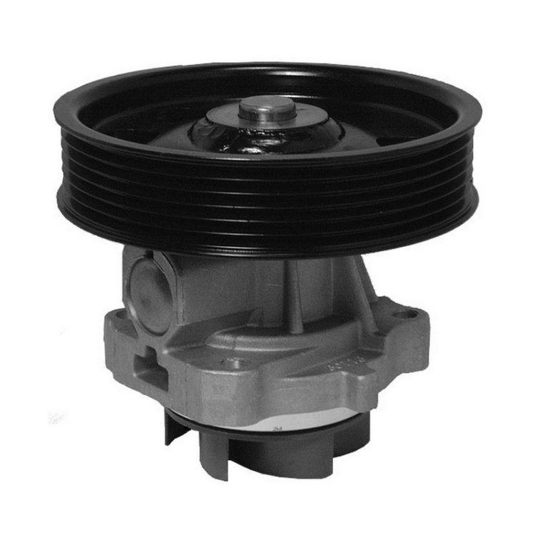 WPF162 FIBA Αντλία Νερού - CITROEN